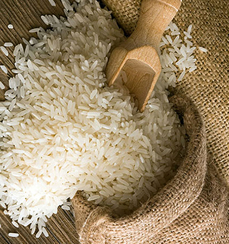 Sona Masoori Steam Rice Manufacturer