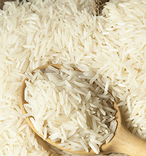 RH-10 Rice